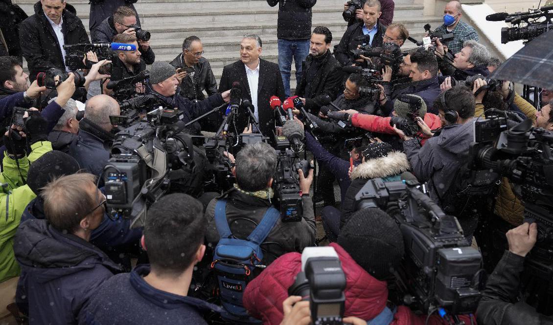 Ungerns premiärminister Viktor Orbán håller presskonferens efter att ha lagt sin röst i en vallokal i Budapest. Foto: Petr David Josek/AP/TT