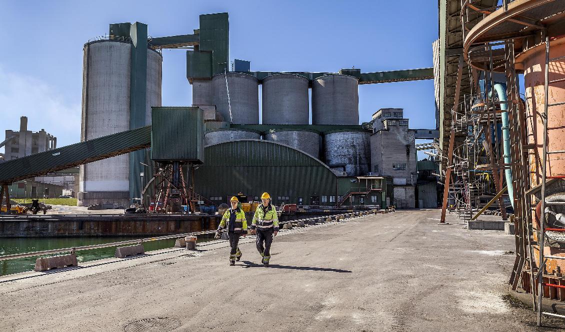 Cementa vill fortsätta bryta kalk i Slite på Gotland och har nu skickat in en ny ansökan. Foto: Cementa