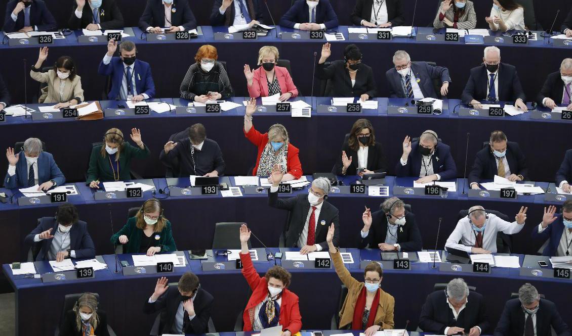 Omröstning pågår i EU-parlamentet i Strasbourg. Till nästa val vill parlamentet att medborgarna ska få rösta dubbelt: både på nationella partier och i en gemensam lista över gränserna. Arkivbild. Foto: Jean-Francois Badias/AP/TT
