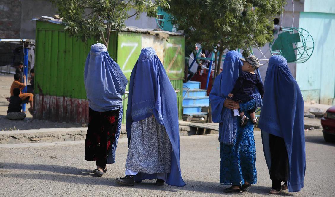 Kvinnor måste nu bära heltäckande slöja i Afghanistan, även om delar av ansiktet får synas. Arkivbild. Foto: Mariam Zuhaib/AP/TT