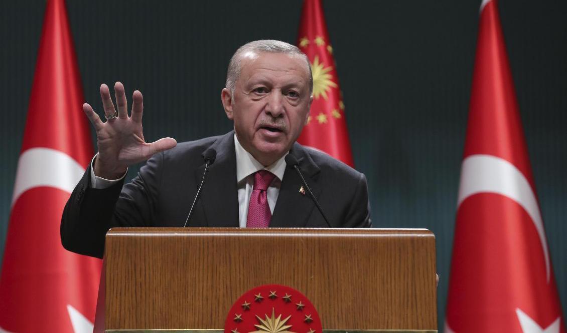 Turkiets president Recep Tayyip Erdogan. Foto: Turkiska presidentkansliet/AP/TT