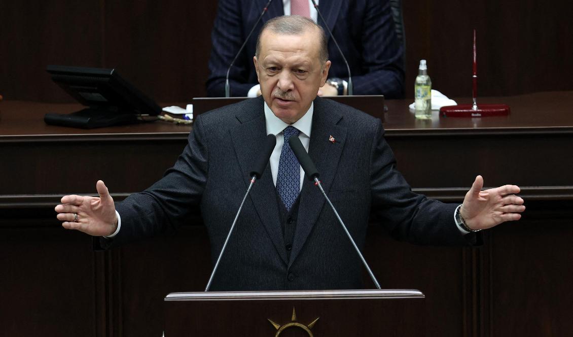 Turkiets president Recep Tayyip Erdogan. Foto: Adem Altan/AFP via Getty Images