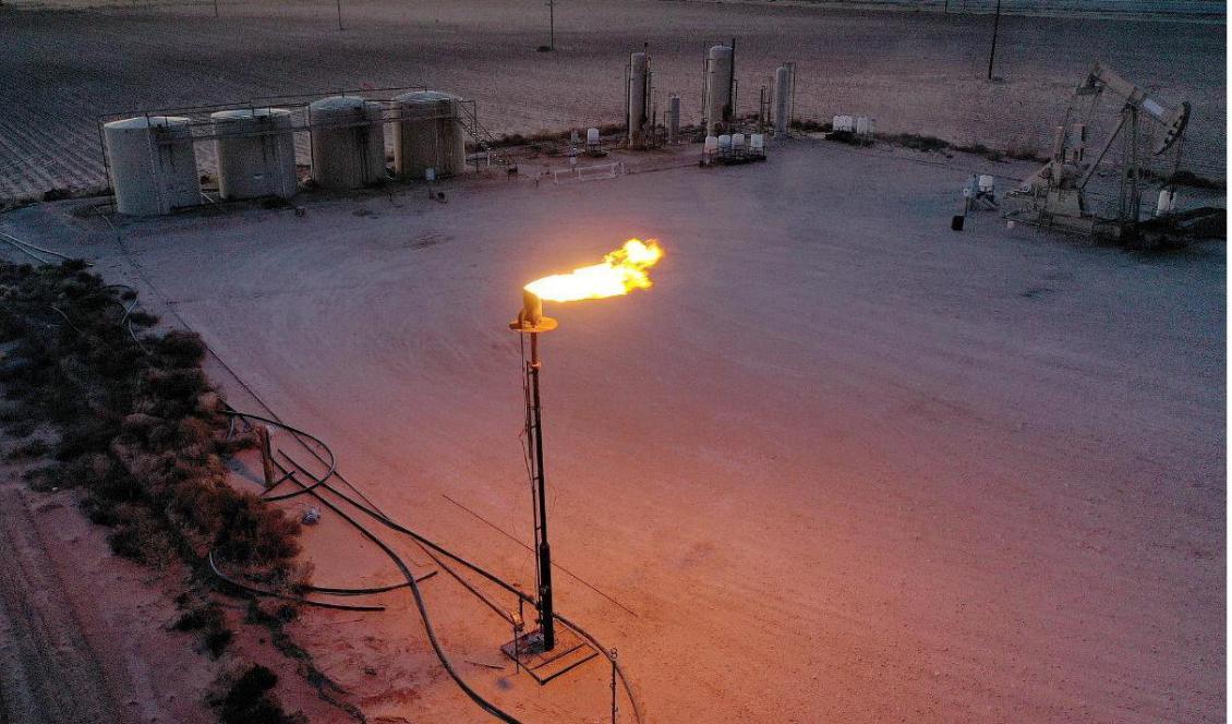 


Permian Basin i Stanton i Texas. Trots den ökade efterfrågan på gas i och med kriget i Ukraina så minskar takten för gasproduktionens tillväxt. Foto: Joe Raedle/Getty Images                                                                                                                                    