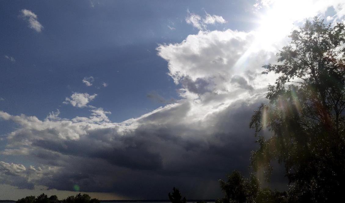 

Under helgen väntas det regn på flera håll i landet. Arkivbild. Foto: Hasse Holmberg/TT                                                                                        