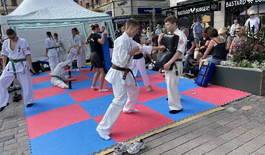 







På Stora torget avgjordes mästerskapen i kyokushinkarate, som är en av många stilar inom karate. Foto: Göran Jacobson                                                                                                                                                                                                                                                                                                                                                                
