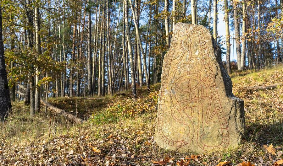 

Det största beståndet av runstenar, rösen och och gravkummel har påträffats i Uppland, många av dem kring dagens Uppsala, som var ett nav för asadyrkan under vikingatiden och som redan då var uråldrigt. Foto: Shutterstock                                                                                        