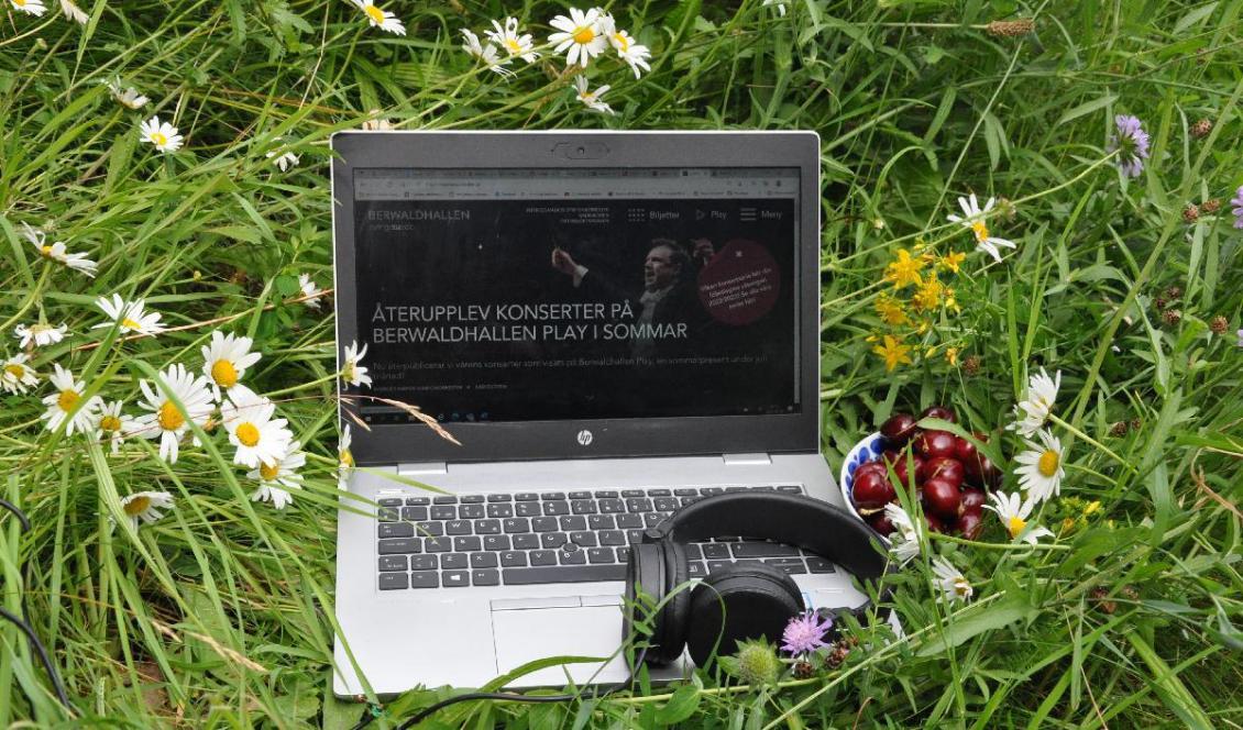 



Vill du lyssna in dig på klassisk musik finns många fina möjligheter till förkovran via de många webbplatserna som strömmar musik. Foto: Jenny Ljungkvist                                                                                                                                                                                