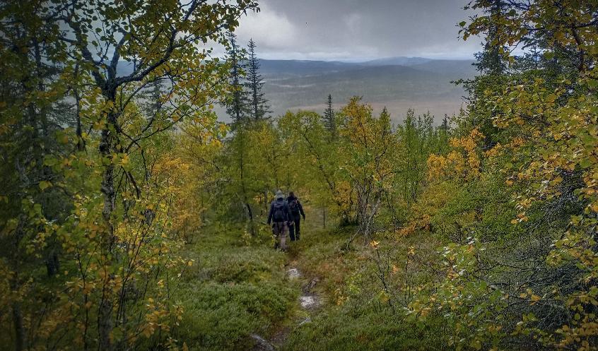 
”Är det kontoköp och slavkontrakt?” (Ur låten Hög standard av Peps Persson) ”Så du blir jagad och jäktad och ensam och rädd.” Foto: Bildo Lantto                                            