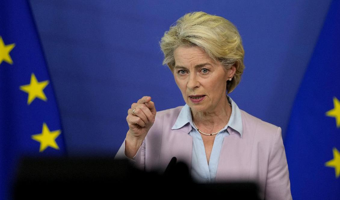 EU-kommissionen, med ordförande Ursula von der Leyen, har lanserat flera omstridda förslag för att hantera energikrisen i vinter. Arkivbild Foto: Virginia Mayo AP/TT