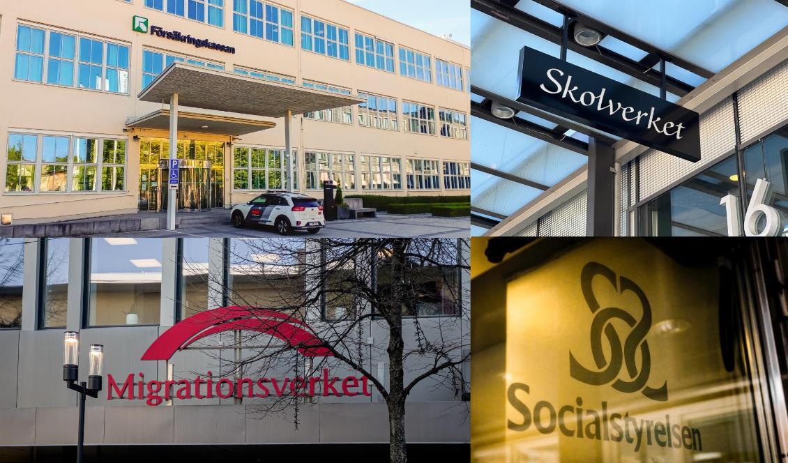 
I Sverige styr staten landet till stor del genom olika myndigheter och förvaltningar. Foto: Sofia Drevemo/Bilbo Lantto                                            