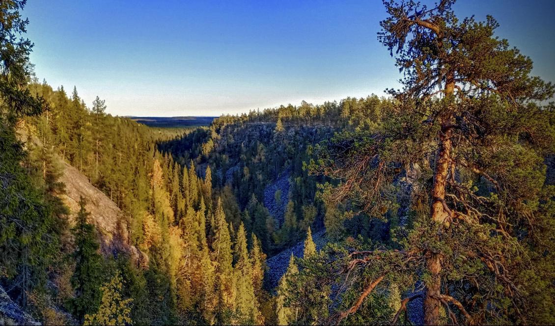 



Axel Oxenstierna insåg redan på 1600-talet den stora potentialen i Norrland med orden ”I Norrland hafva wi ett Indien”. Foto: Bilbo Lantto                                                                                                                                                                                