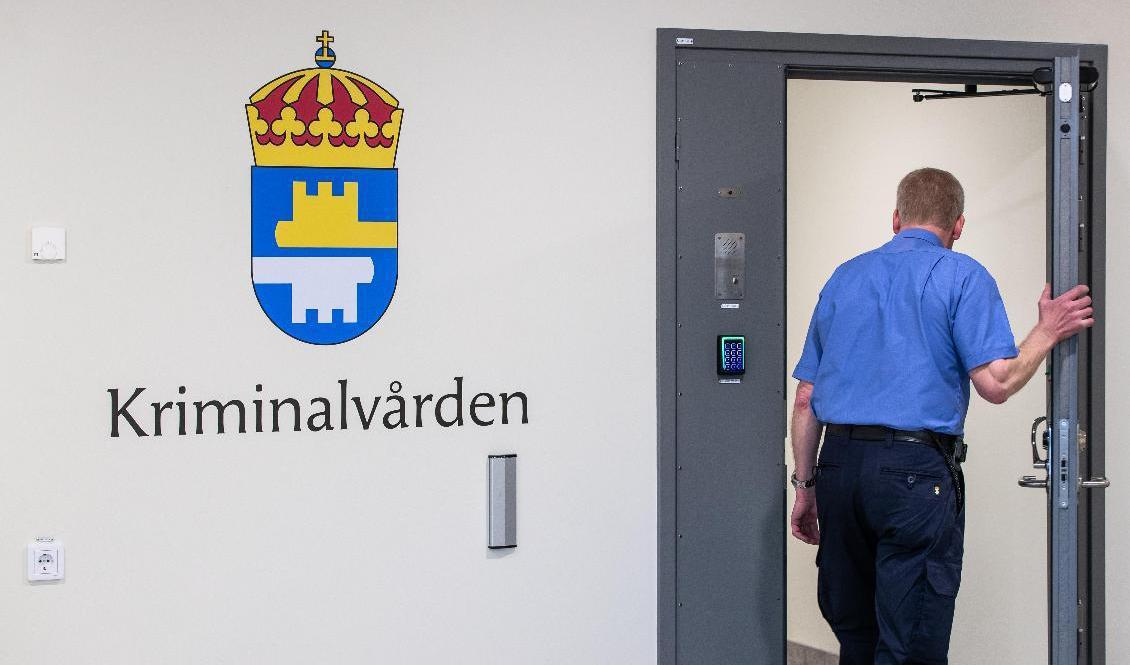 Samarbetet mellan myndigheter och vårdgivare behöver fortfarande förbättras, anser forskarna. Arkivbild. Foto: Per Danielsson/TT