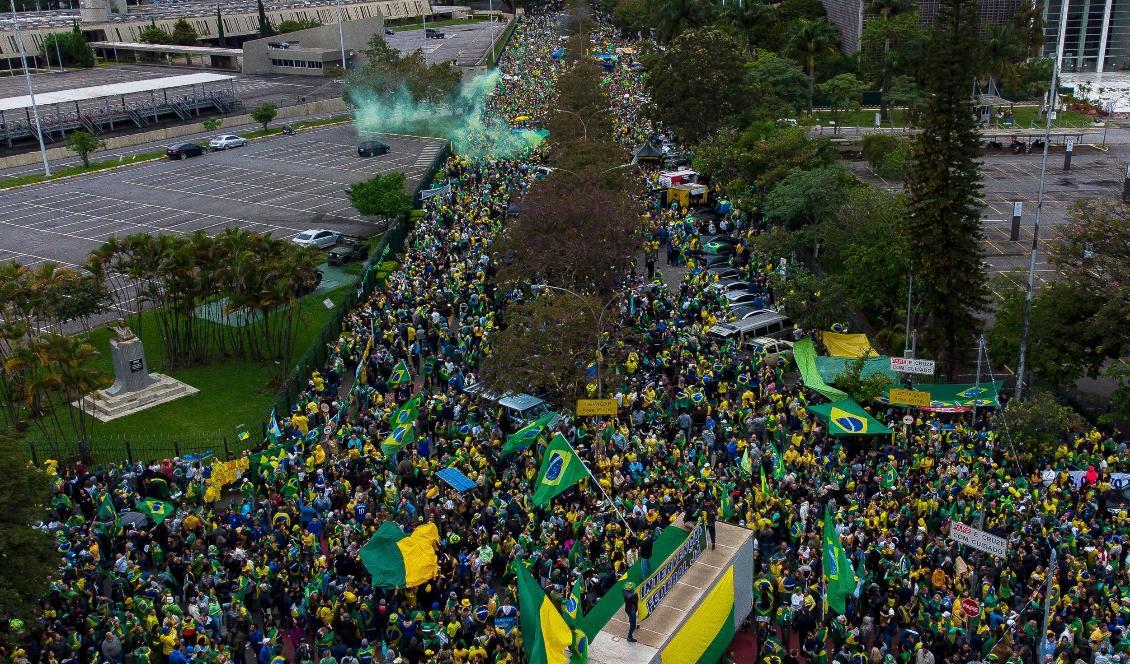 


Stora protester i Brasilien i samband med valet. Foto: Miguel Schincariol/Getty Images.                                                                                                                                    