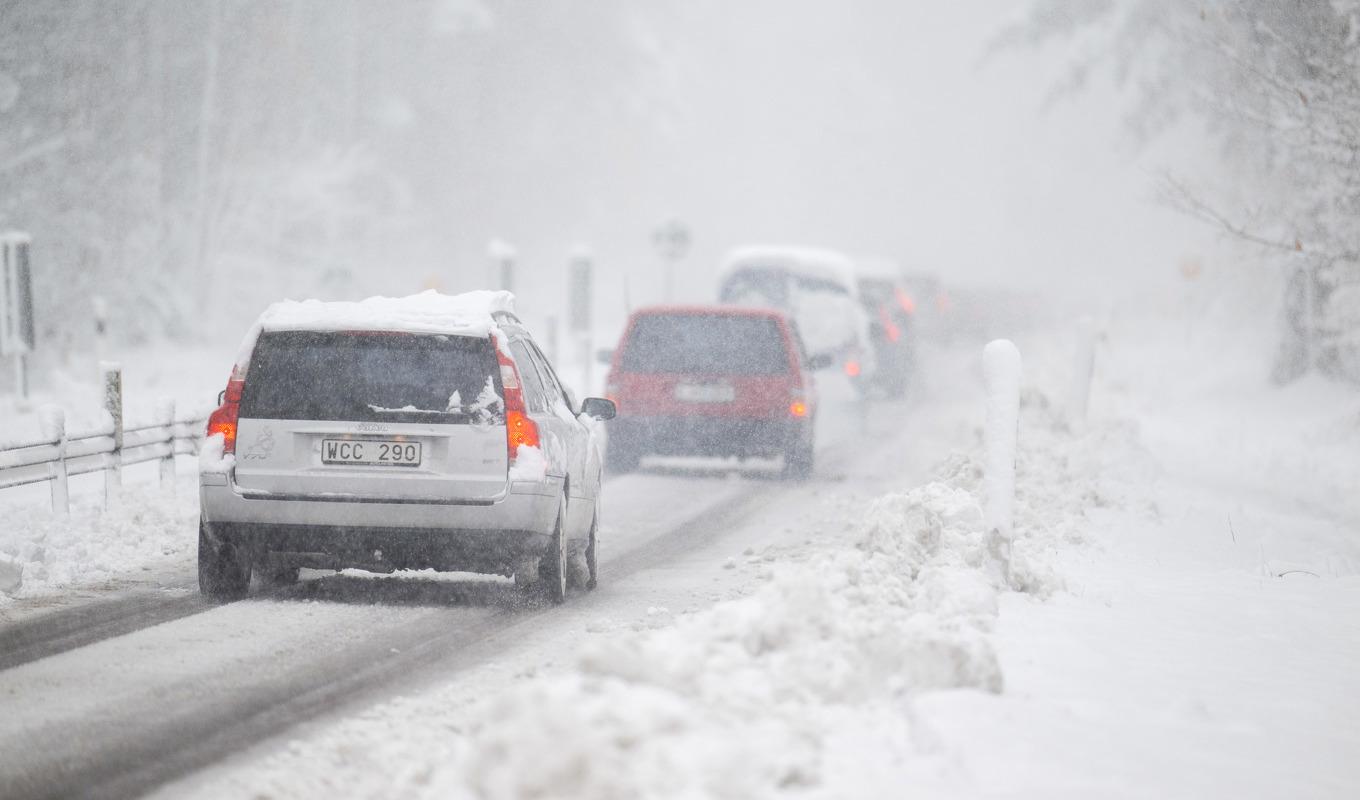 SMHI varnar för kraftigt snöfall längs Norrlandskusten. Arkivbild. Foto: Suvad Mrkonjic/TT
