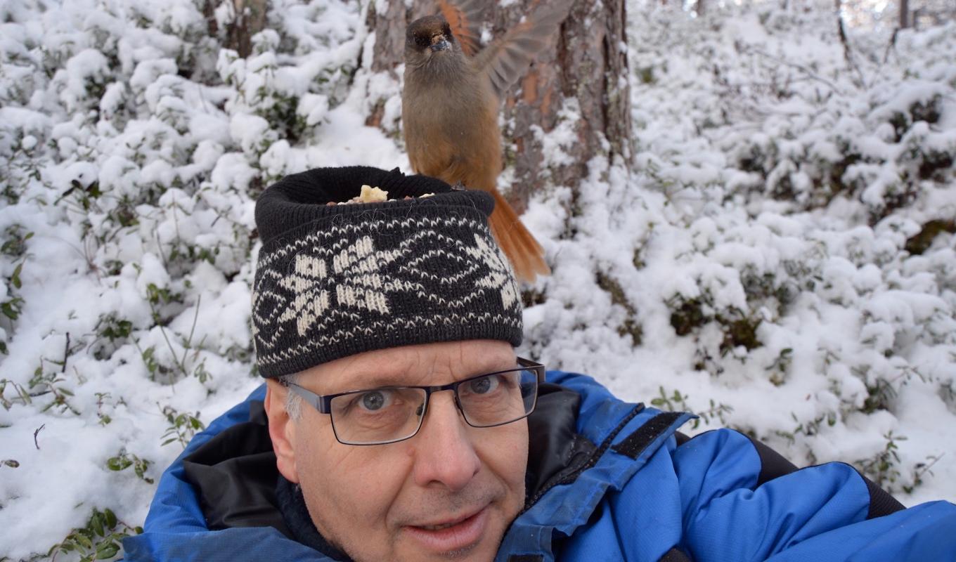 Att mata fåglar handlar mer om den personliga naturupplevelsen än om att hjälpa fåglarna. Det är en speciell känsla när ett djur tar kontakt. Foto: Mats Karström.