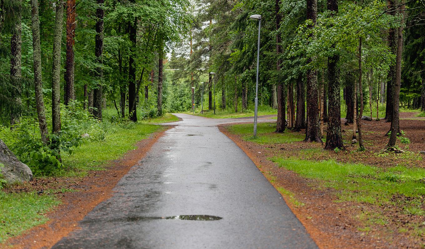 En cykelväg i stadsdelen Morö Backe i Skellefteå, där en pojke utsatte en flicka för grov våldtäkt och mordförsök i början av juli. Foto: Jonas Westlund/TT