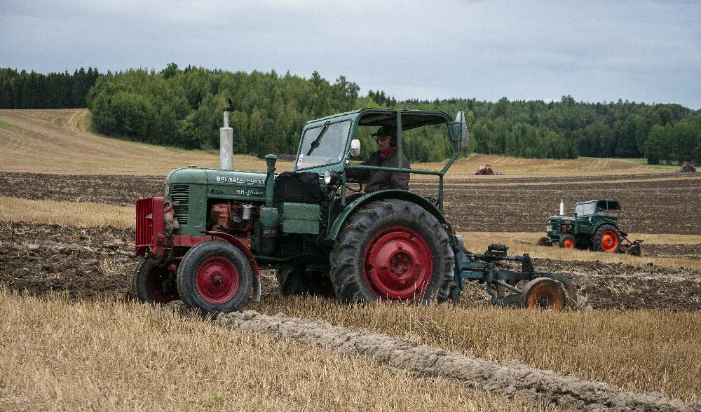 Härrör den svenska konsensuskulturen från det faktum att Sverige inte varit feodalt? Och är konsensuskulturen skälet till felaktiga beslut inom energipolitiken? Krönikören reder ut det hela. Foto: Bilbo Lantto