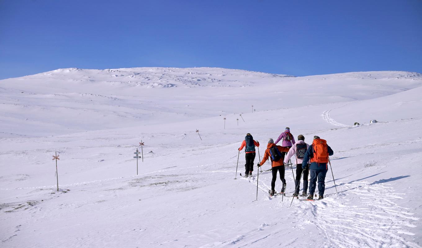 Enligt SMHI kommer det vara mycket svårt att förflytta sig samt att resa och förankra tält i fjällen de närmaste dagarna.. Foto: Janerik Henriksson/TT