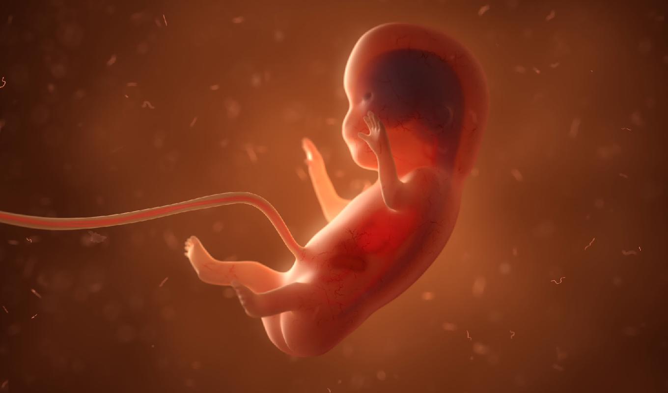 De etiska dimensionerna av abort saknas i samhällsdebatten. Likaså en undersökning av vad aborträtten faktiskt härstammar från. Foto: Shutterstock