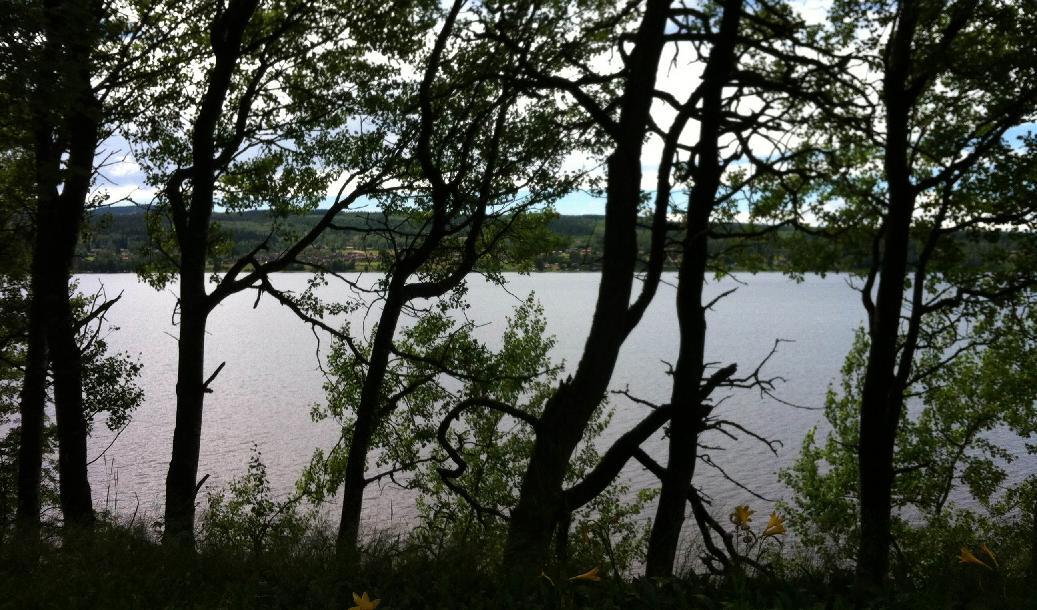 Stagnelius romantiska dikter pekar på att vi är oskiljaktiga från naturen, vilket blir uppenbart i förälskelsen. Foto: Privat