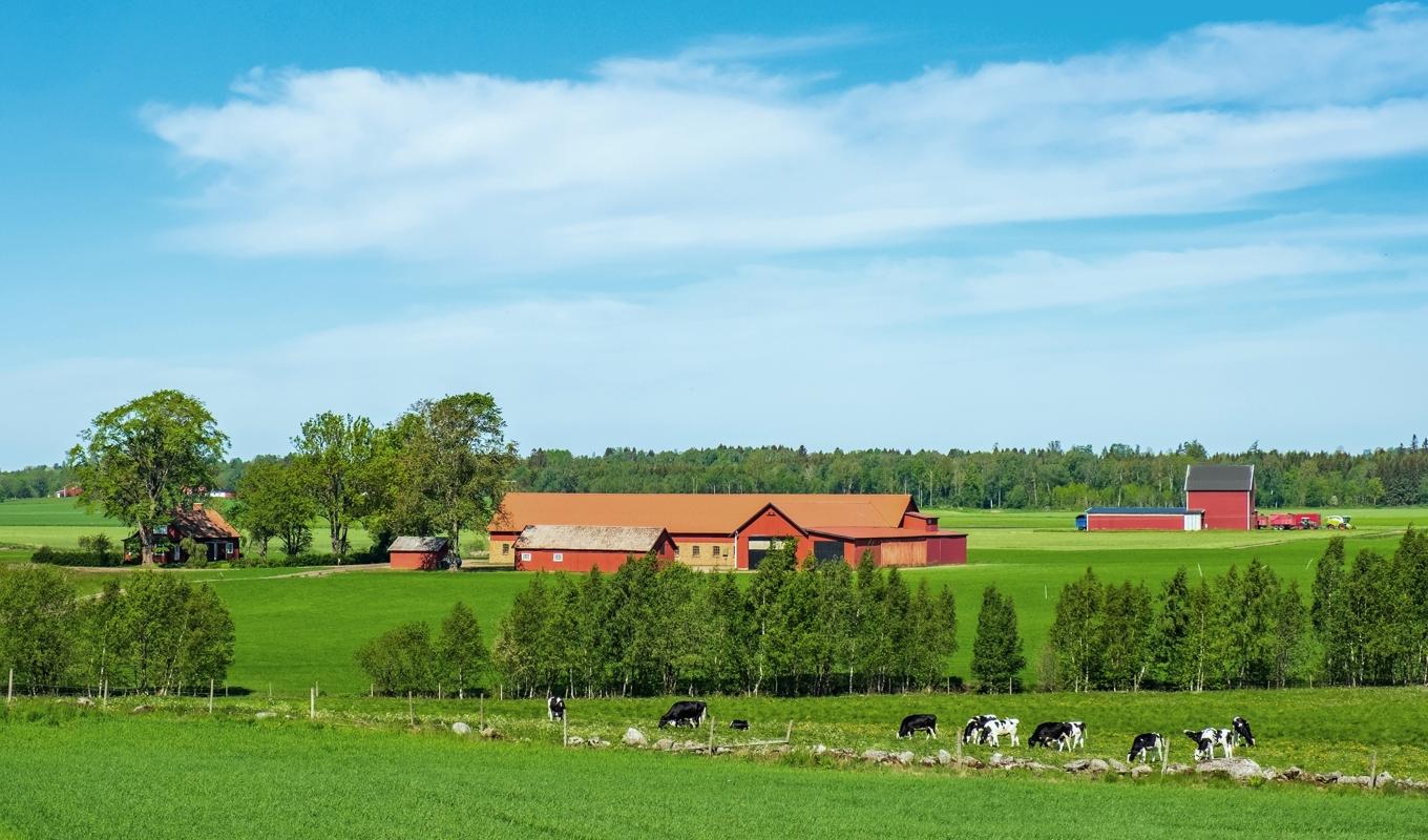 Regeringen vill underlätta för dem som vill driva lantbruk att köpa en gård. Foto: Lasse Johansson