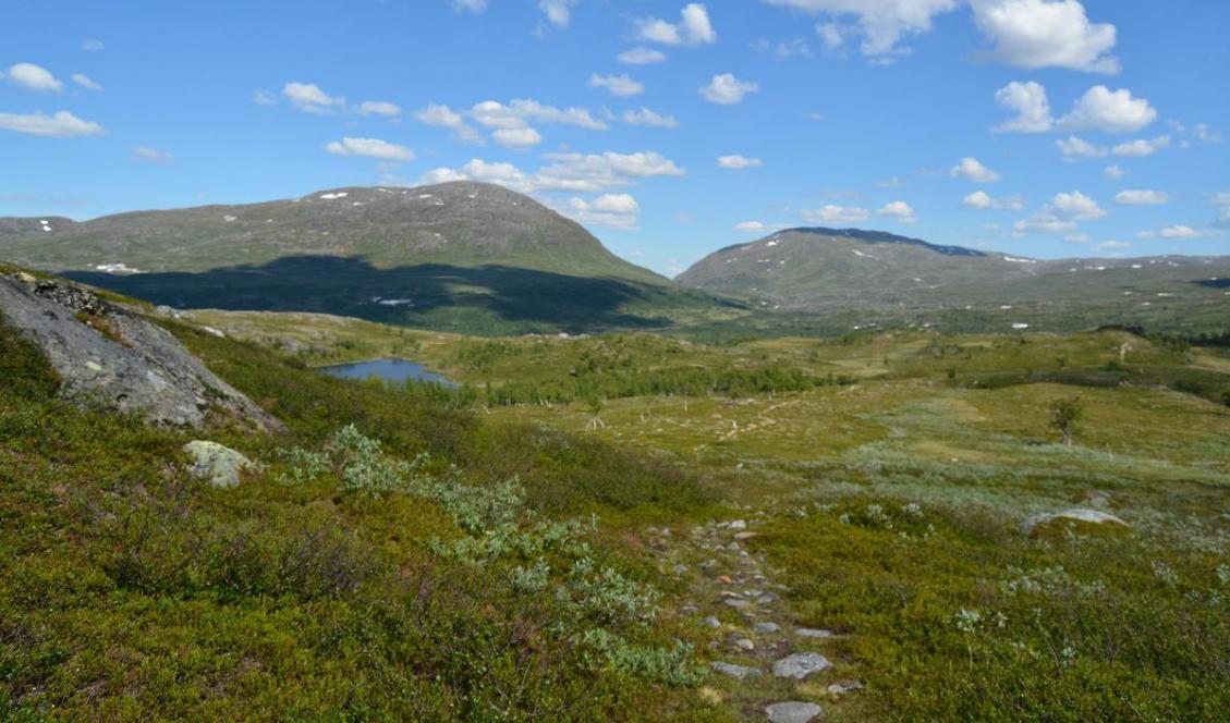 Barn vistas färre i naturen än tidigare. Foto: Eva Sagerfors