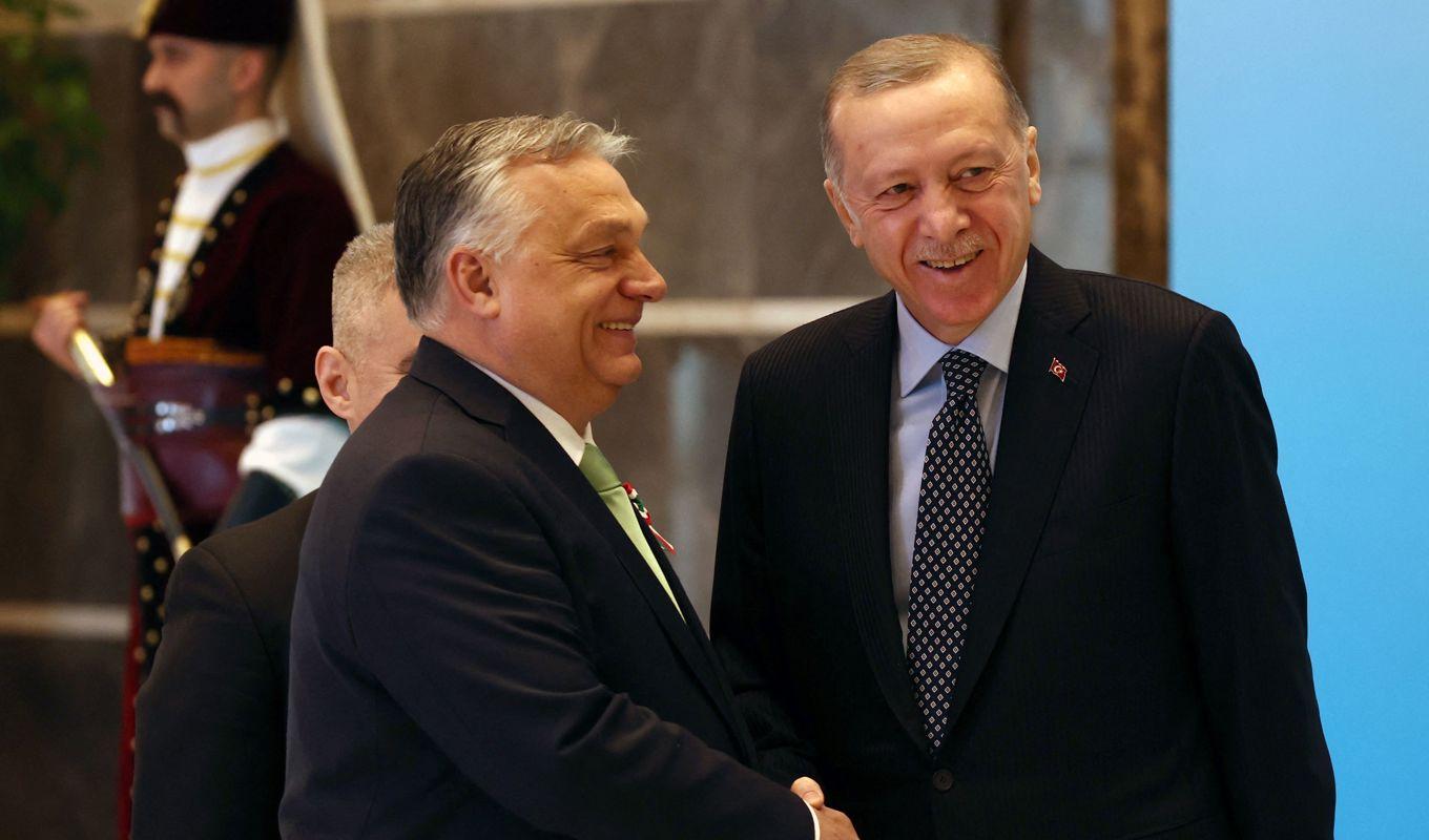 Ledarna för Ungern och Turkiet är kritiska till Sverige. Foto: Adem Altan/AFP via Getty Images