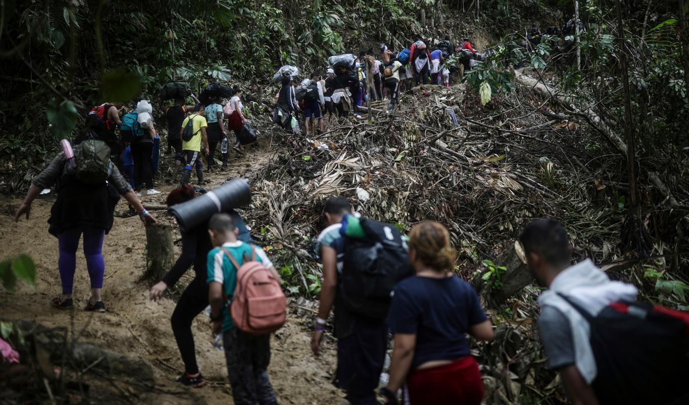 Hundratusentals migranter tar sig igenom den farliga djungelleden i hopp om att nå USA. Foto: Ivan Valencia/AP/TT