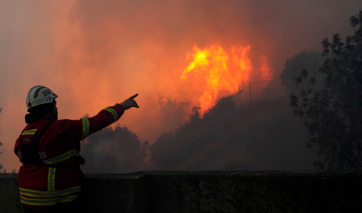 En skogsbrand utanför Lissabon i Portugal i slutet av juli. Foto: Armando Franca/AP/TT