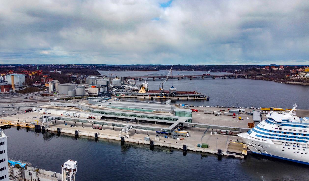 Fågeln, som bara setts en gång tidigare i Sverige, reste till Stockholm på på en Finlandsfärja. Arkivbild. Foto: Jonas Ekströmer/TT