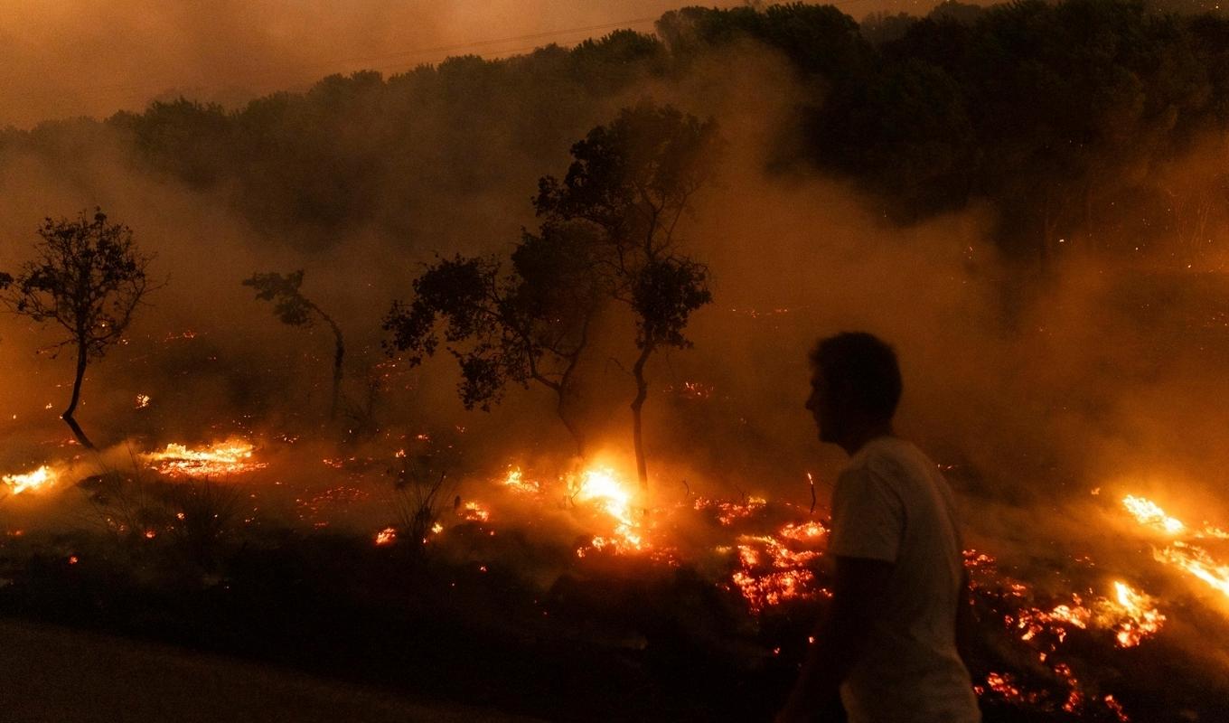 En av bränderna rasar i Dikela, nära staden Alexandroupolis i den nordöstra regionen Evros. Arkivbild. Foto: Achilleas Chiras/AP/TT