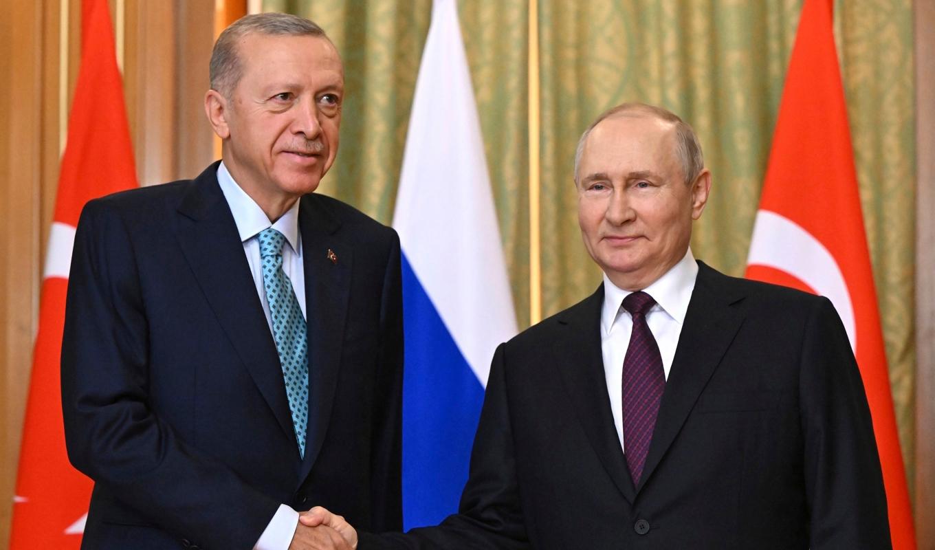 Turkiets president Recep Tayyip Erdogan och Rysslands president Vladimir Putin möts i Ryssland för att diskutera spannmålsavtalet. Foto: Sergei Guneyev/Sputnik/Kremlin Pool Photo/AP/TT