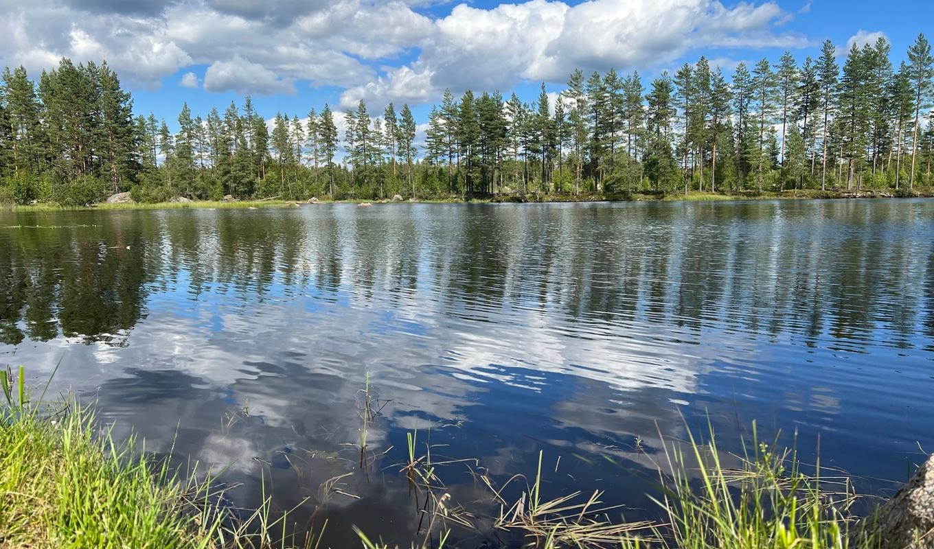 Den stora barrskogen öppnar upp och små sjöar skapar ljus och rymd. Landskapet kallas ibland Sveriges sydligaste vildmark och är en typisk finnmark. Foto: Kristina I. Kleinert