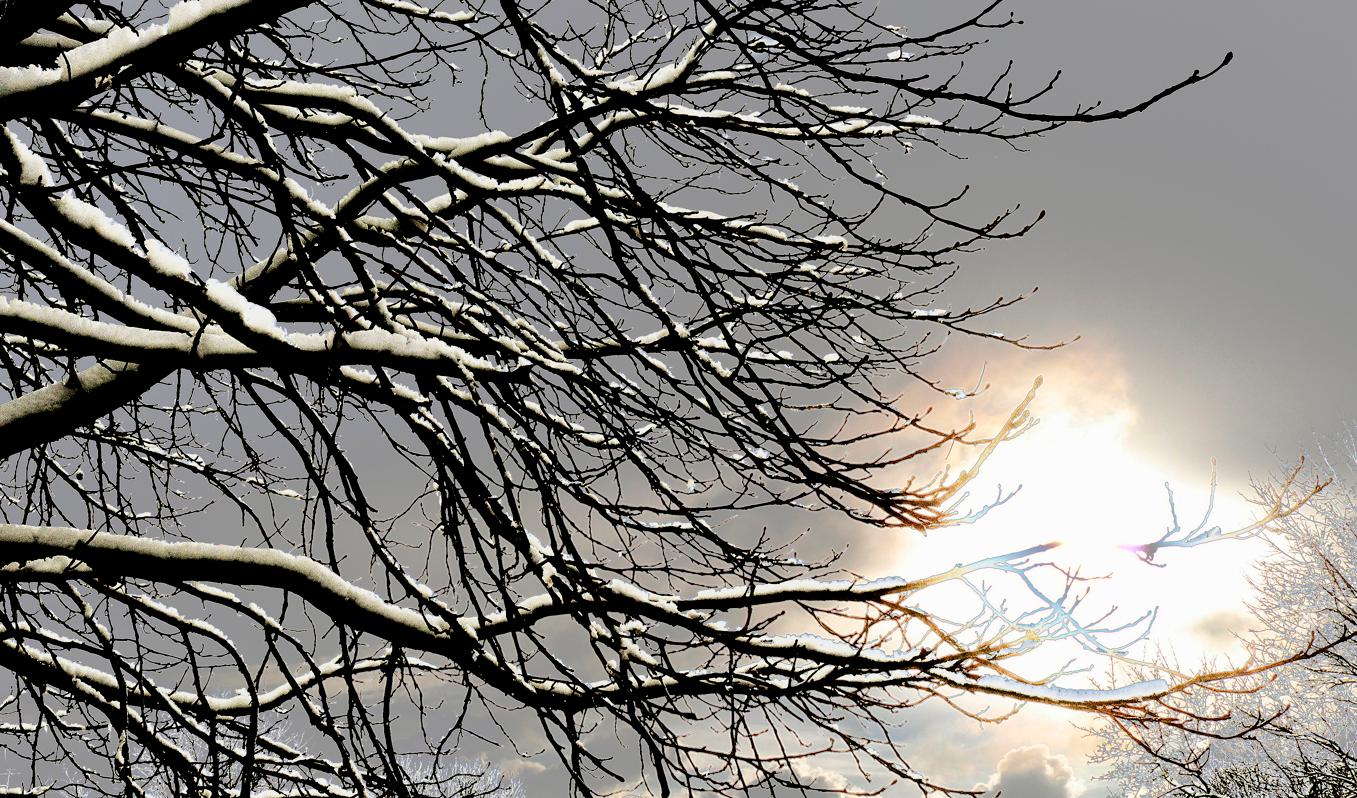 Veckan kan bjuda på snö i norr, men det är oklart hur mycket som kommer att lägga sig. Arkivbild. Foto: Hasse Holmberg/TT
