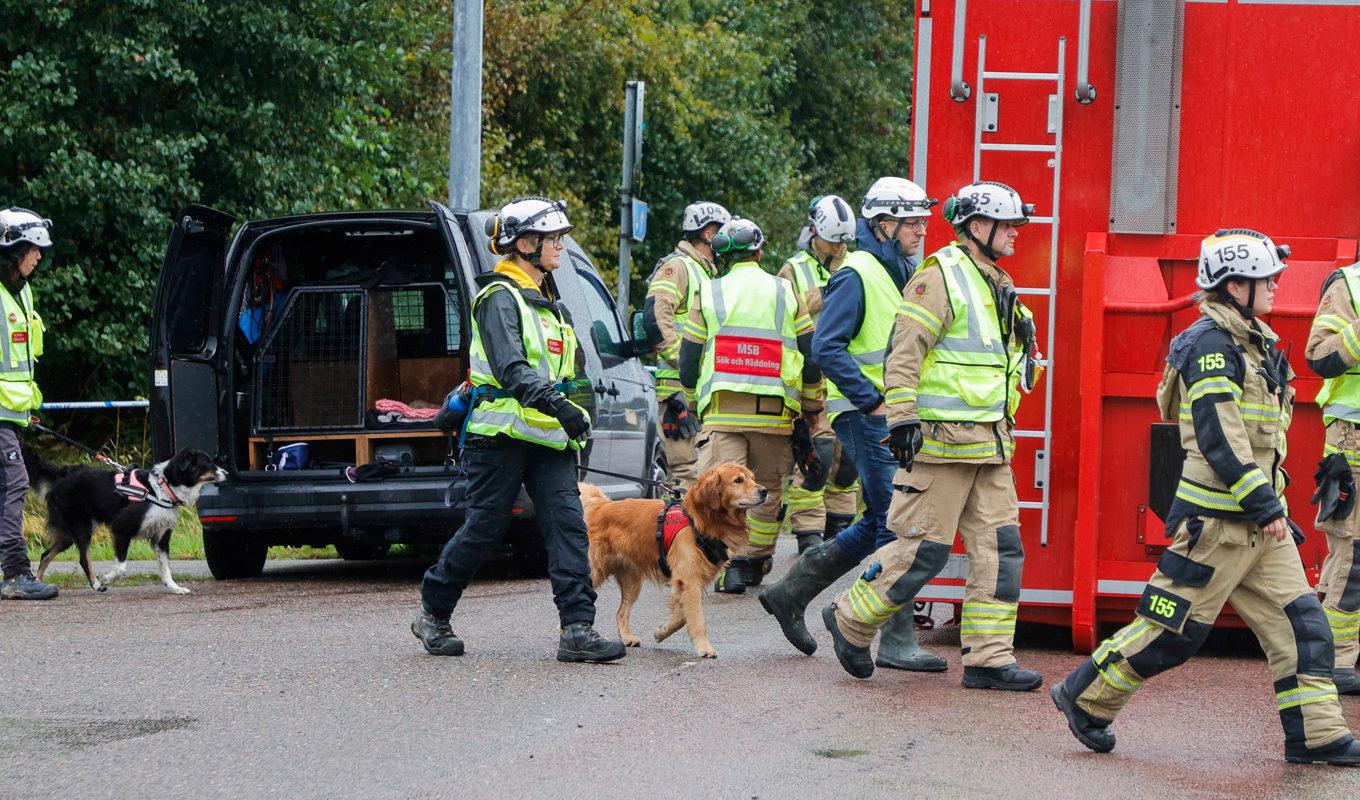 Sökhundar sätts in i arbetet för att garantera att inga människor sitter fast. Foto: Adam Ihse/TT