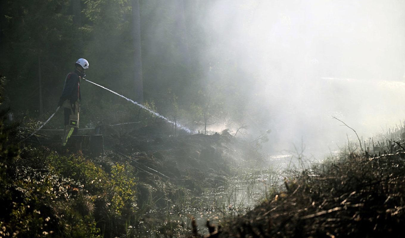 Skarpare rutiner och ökad kunskap har bidragit till att landet blivit bättre på att bekämpa skogsbränder. Arkivbild. Foto: Fredrik Sandberg/TT