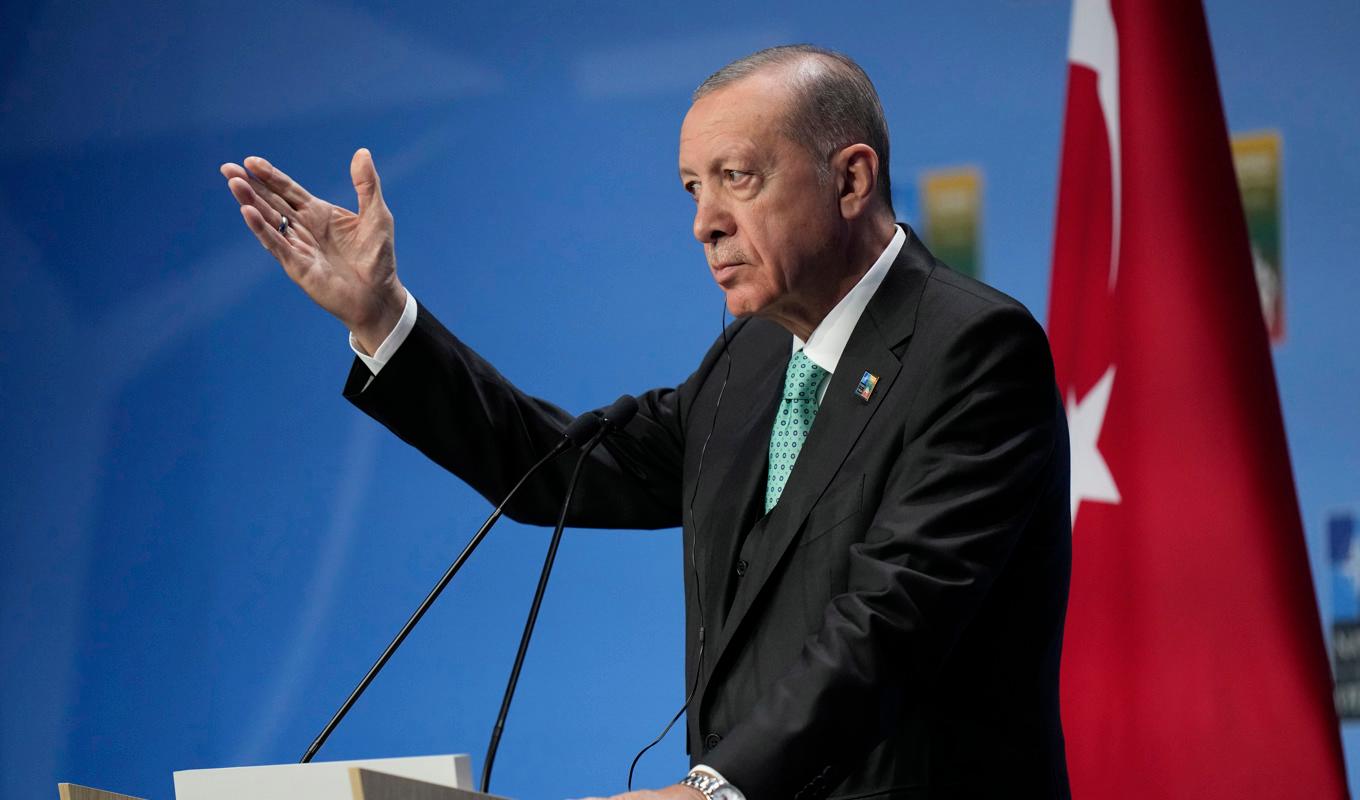 Turkiets president Recep Tayyip Erdogan. Arkivbild. Foto: Pavel Golovkin/TT/AP