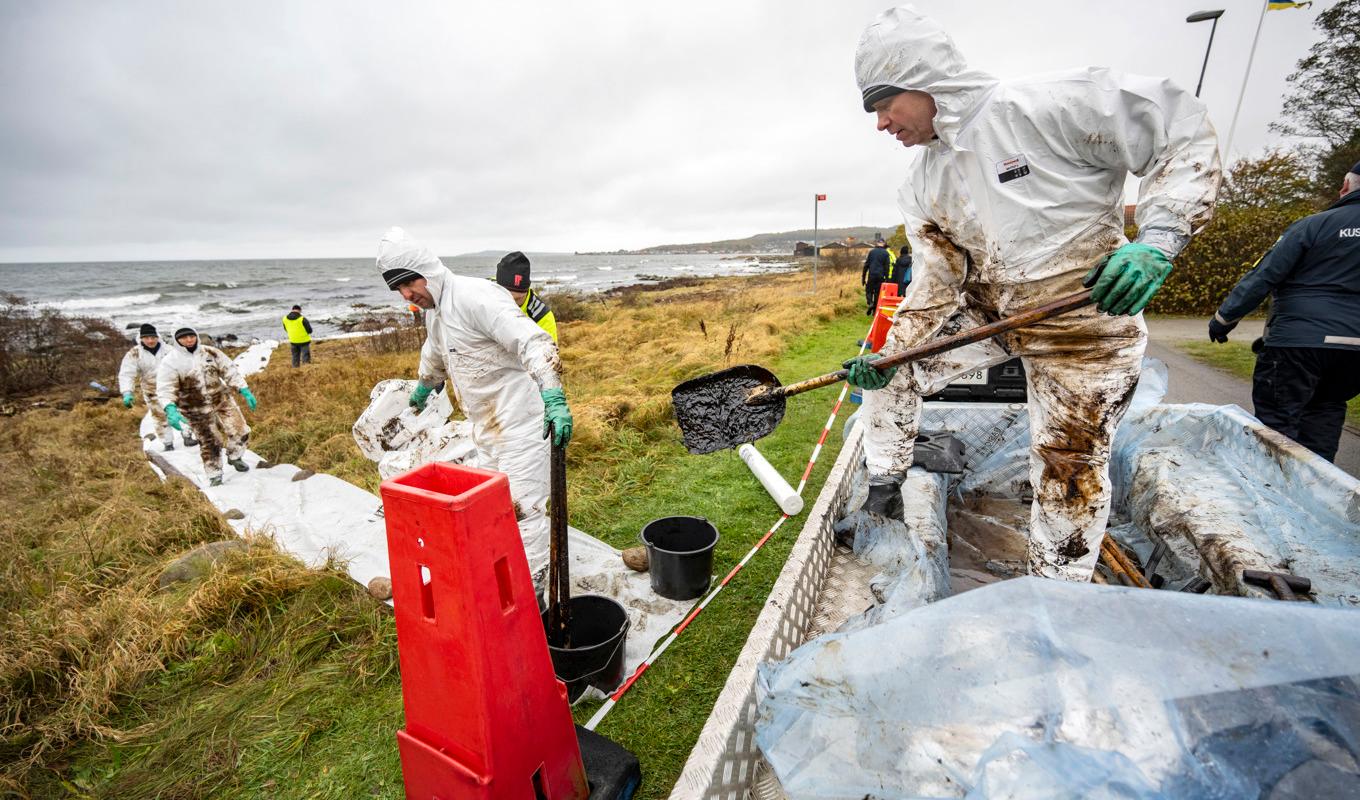 Saneringsarbetet fortsätter under lördagen längs Blekingekusten där Kustbevakningen, Sölvesborgs kommun och länsstyrelsen fått hjälp av Hemvärnet. Bild från den 26 oktober. Foto: Johan Nilsson/TT