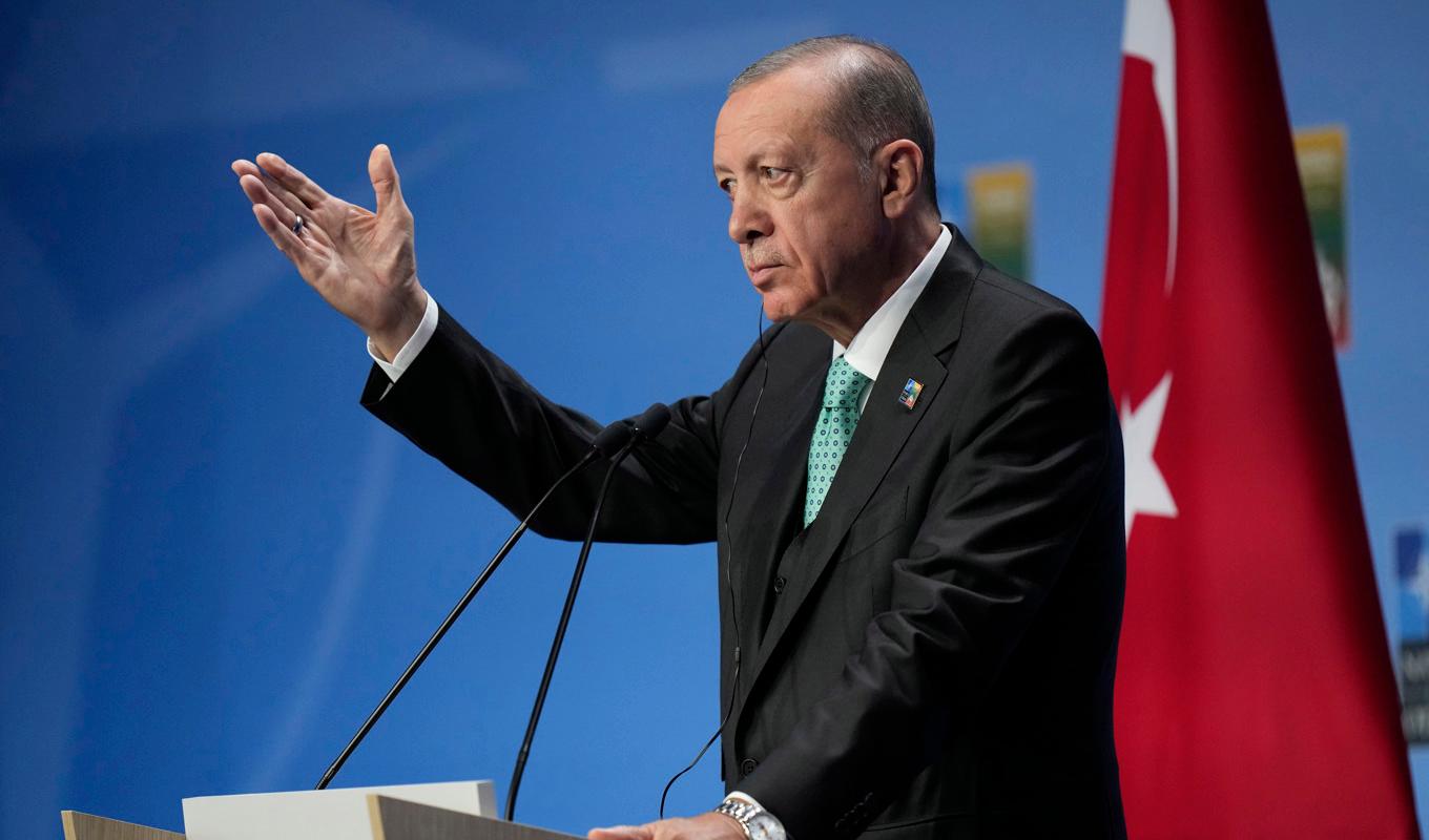 Turkiske presidenten Recep Tayyip Erdogan. Arkivbild. Foto: Pavel Golovkin/AP/TT