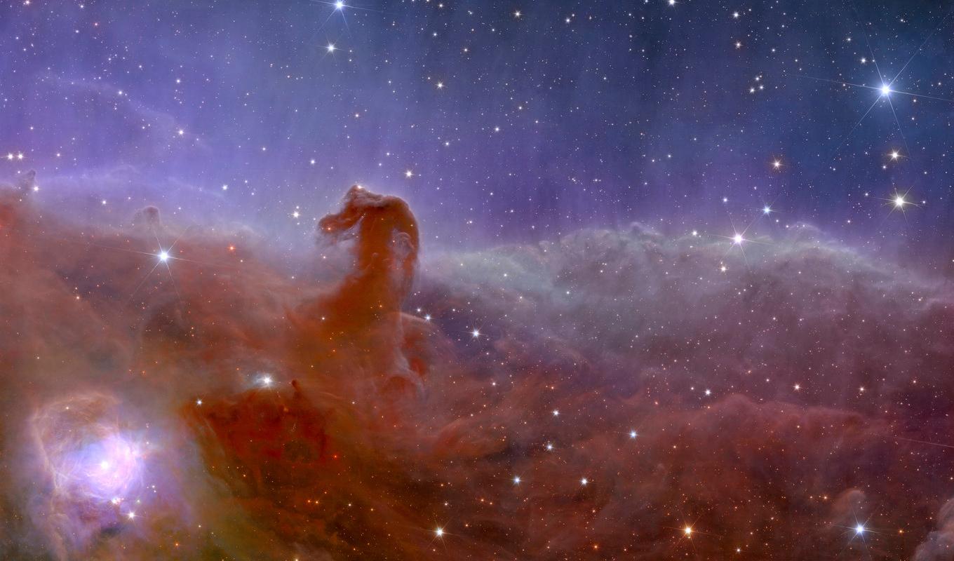 Euclids bild av Hästhuvudnebulosan. Foto: Europeiska rymdorganisationen (ESA) via AP/TT