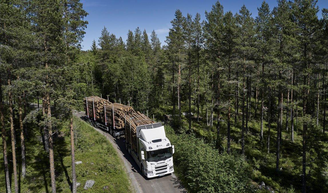 Många förändringar behöver ske samtidigt för att skogsbrukets vägtransporter ska bli fossilfria, säger projektledaren Anna Pernestål vid Skogforsk. Foto: Scania/TT