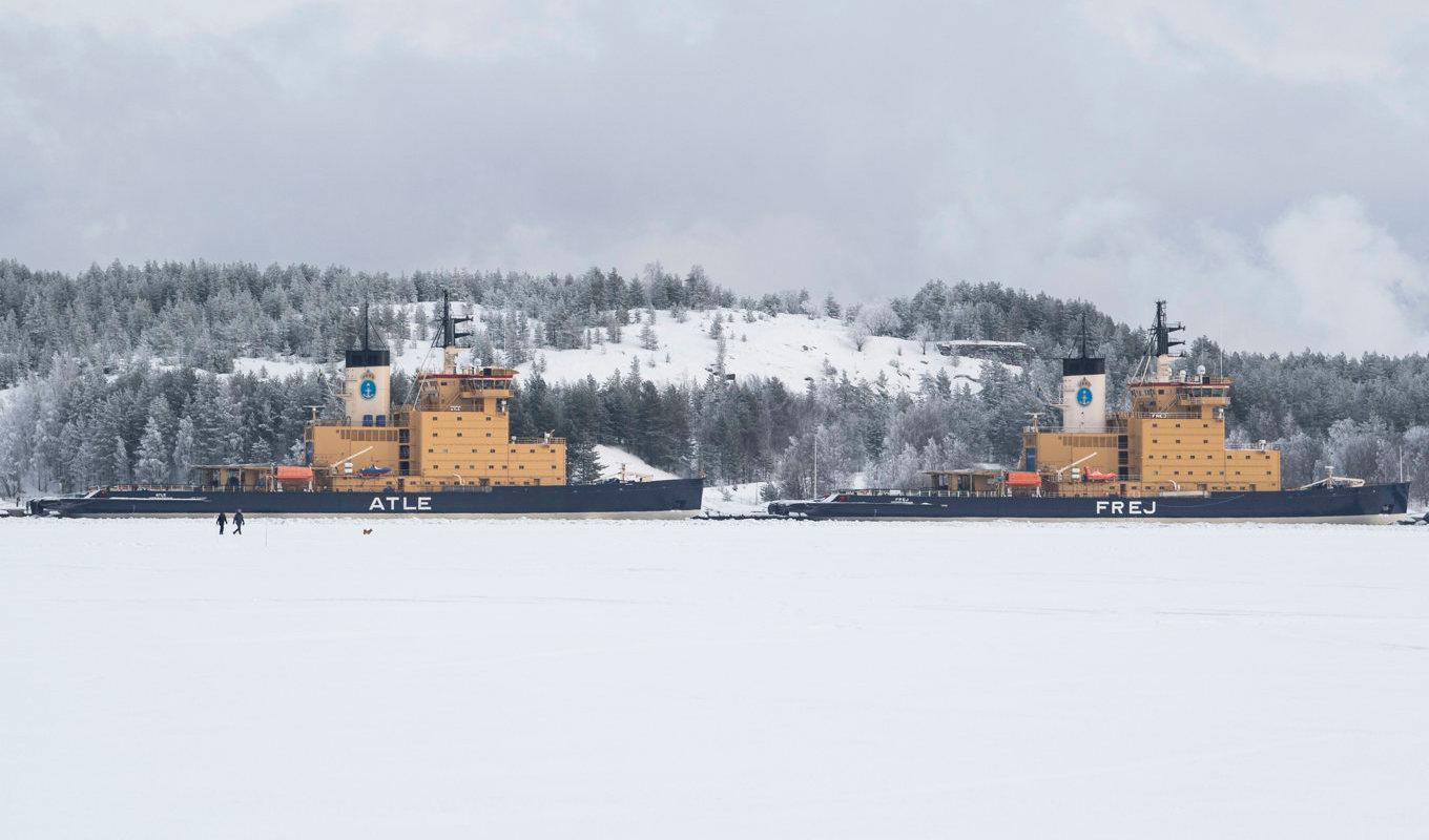 Sjöfartsverket har fem egna isbrytare: Ale, Oden, Atle, Frej och Ymer. Här syns Atle och Frej vid kaj i hamnen i Luleå vintern 2020. Foto: Pontus Lundahl/TT