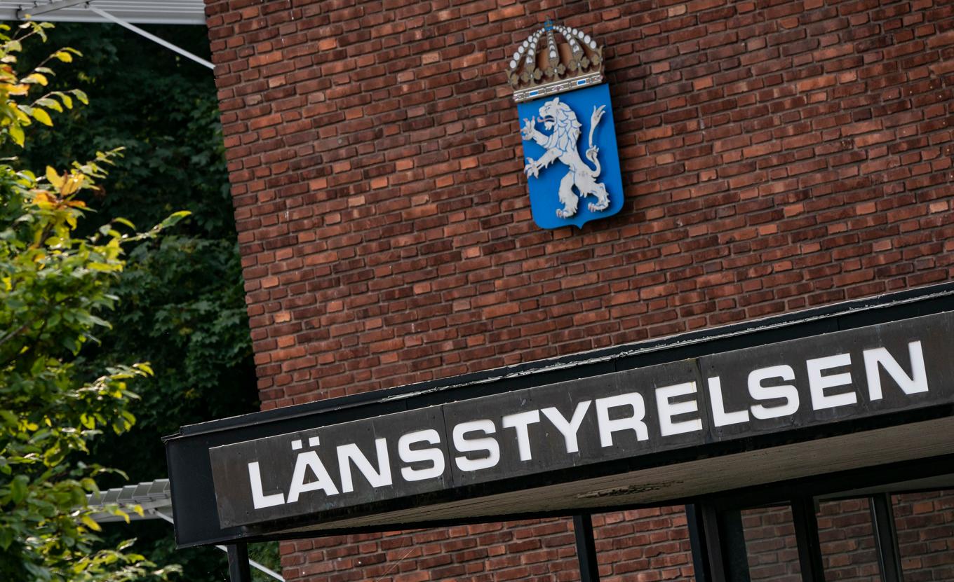 En hund som attackerat flera barn har nu avlivats. Arkivbild. Foto: Johan Nilsson/TT