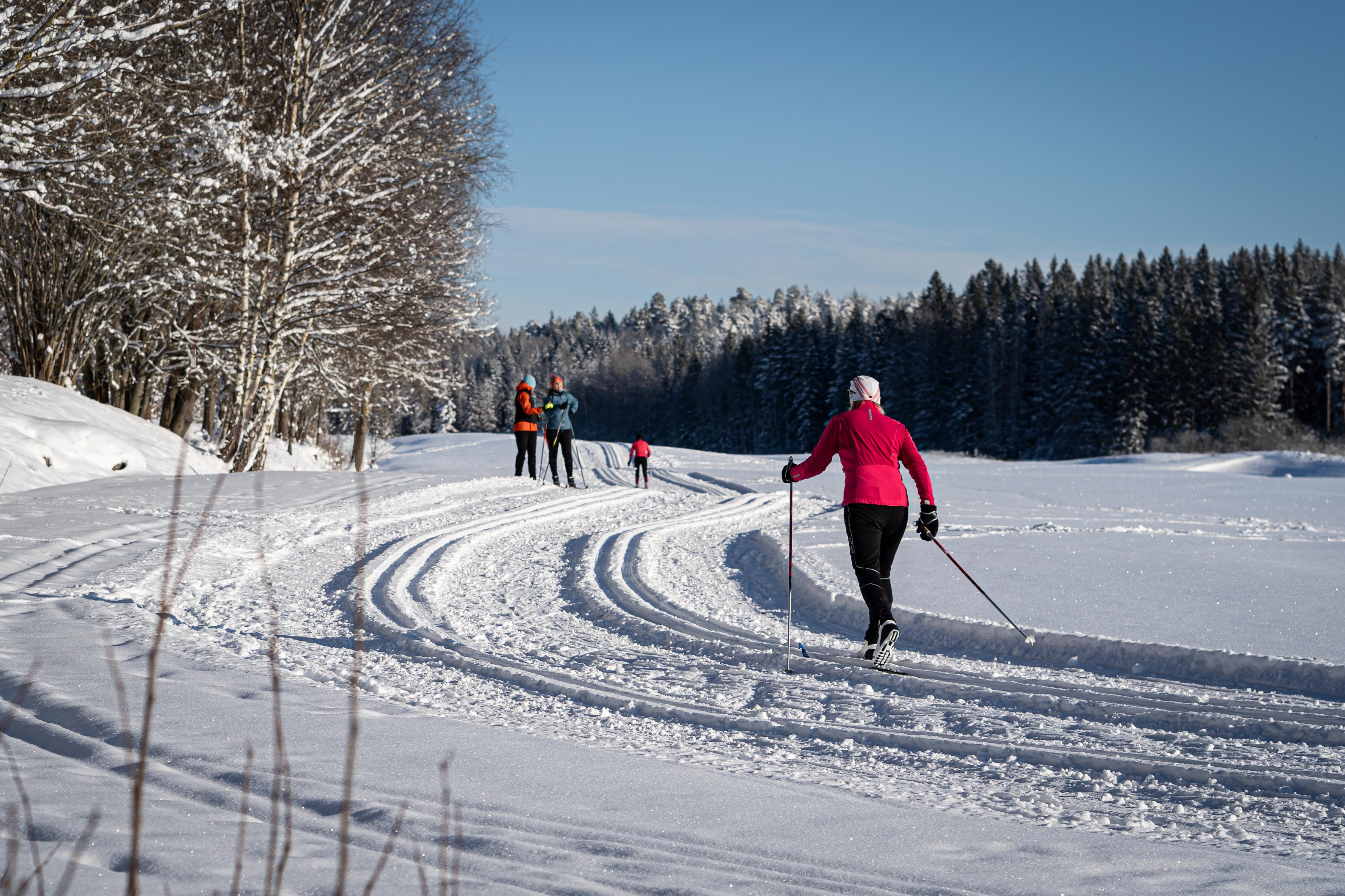 Sverige har elva kommuner med befolkningar under 4 000 invånare. Dorotea kommun är en av dem. Foto: Sofia Drevemo