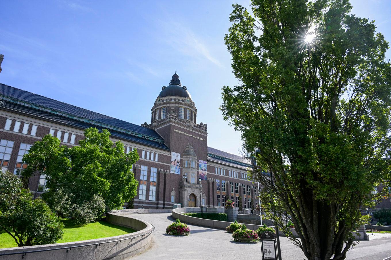 Naturhistoriska riksmuseets byggnad, belägen i Frescati i Stockholm, invigdes 1916. Arkivbild. Foto: Janerik Henriksson/TT