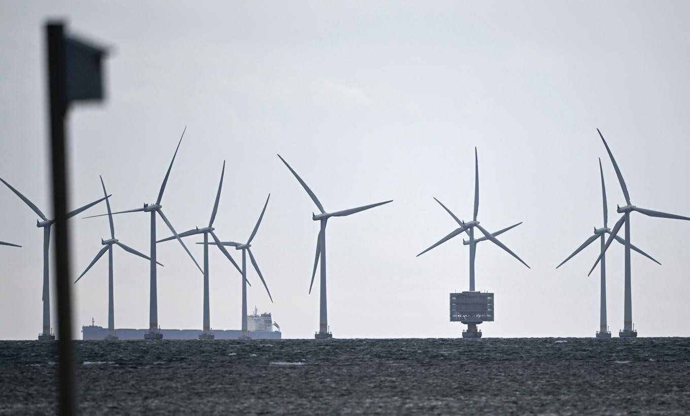 Lillgrund vindkraftpark utanför Bunkeflostrand söder om Öresundsbron. Arkivbild. Foto: Johan Nilsson/TT