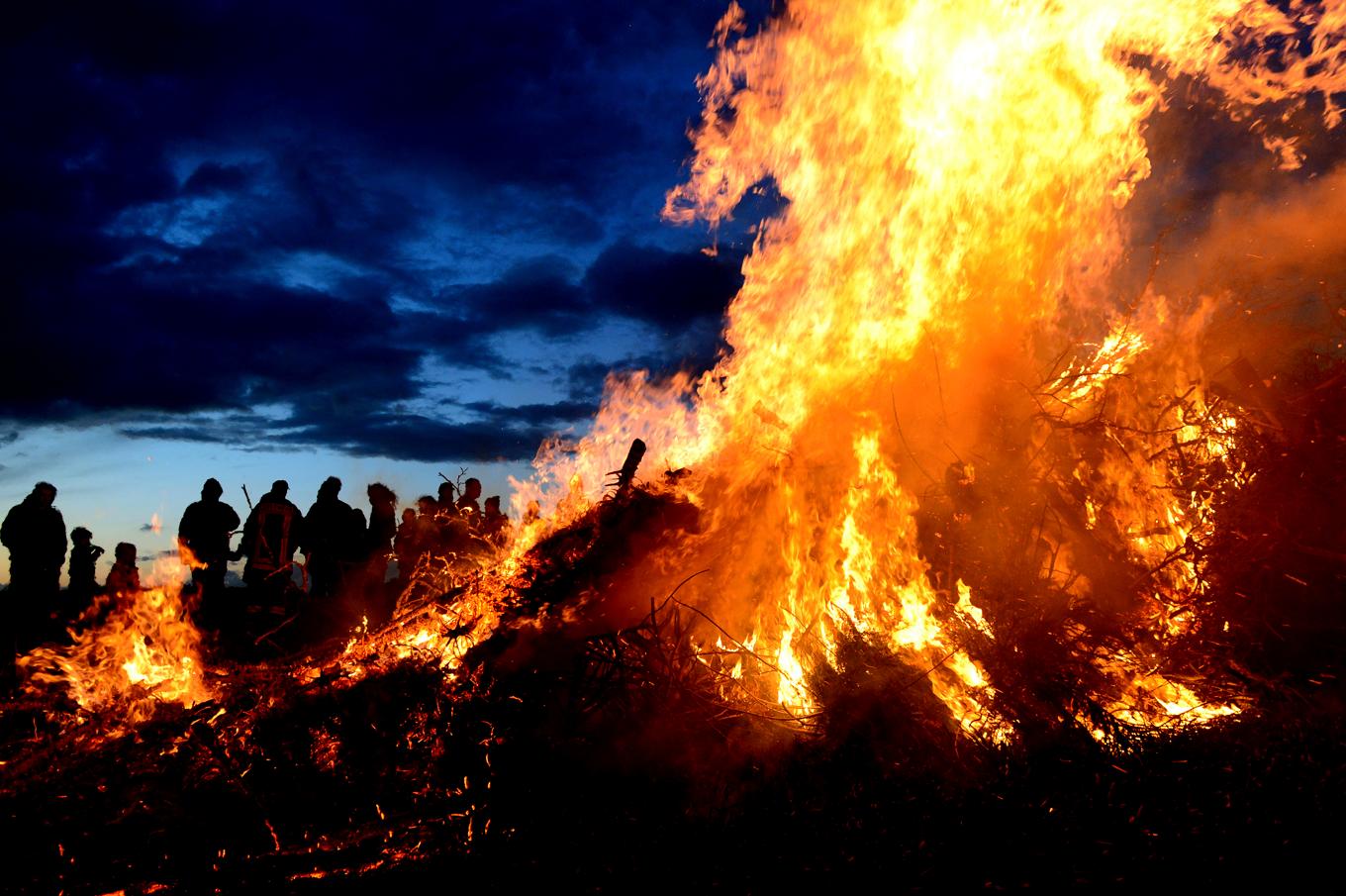 Varje år inför påsk tävlar ungdomar i Göteborgs norra skärgård om vem som kan få ihop flest kasserade julgranar till den största påskbrasan. Arkivbild. Foto: Maurizio Gambarini/dpa via AP/TT