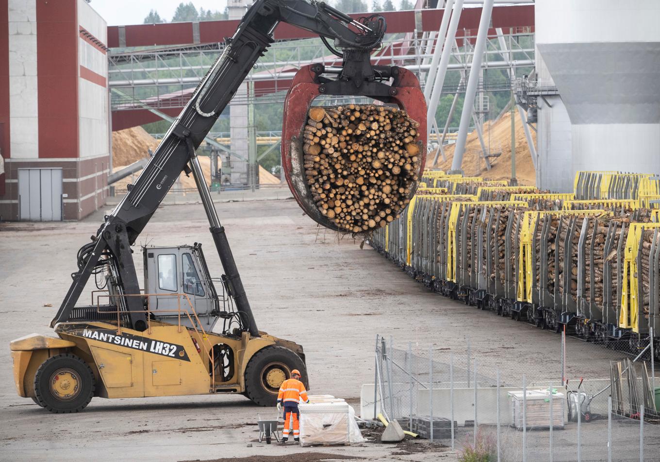 Lastning av timmer på Östrands massafabrik i Timrå. Arkivbild. Foto: Fredrik Sandberg/TT