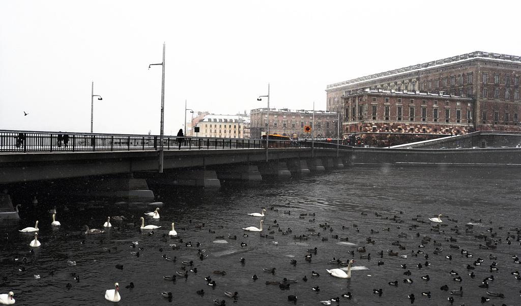 Stockholm och södra Sverige hade en ovanligt solfattig februari. Arkivbild. Foto: HASSE HOLMBERG / TT