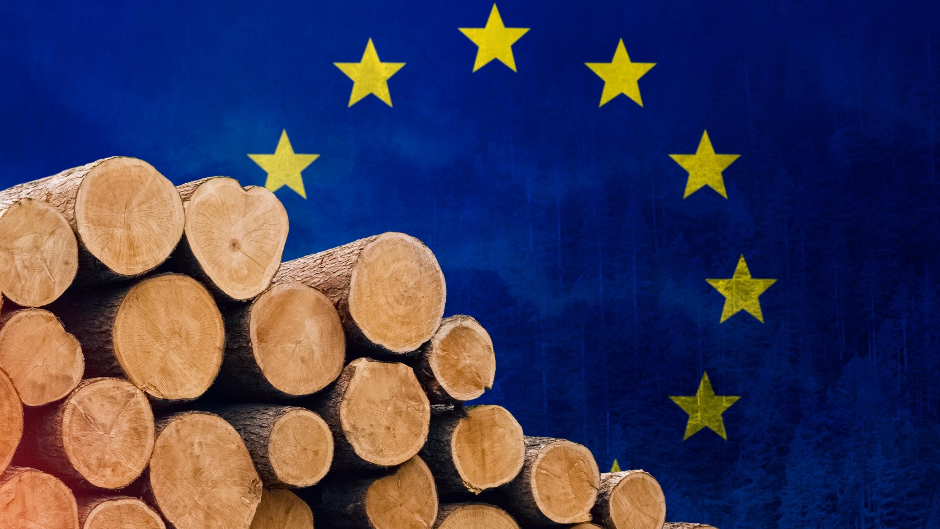 EU:s skogsstrategi missar hänsynen till medlemsländernas mycket olika förutsättningar. Foto: ArtRich/Shutterstock